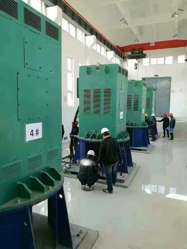 YR5601-12/280KW某污水处理厂使用我厂的立式高压电机安装现场