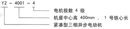 YR系列(H355-1000)高压YR5601-12/280KW三相异步电机西安西玛电机型号说明